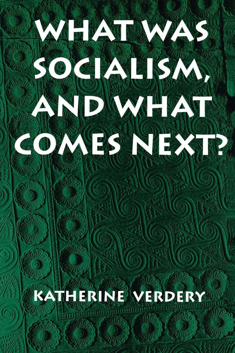 Cover: 9780691011325 | What Was Socialism, and What Comes Next? | Katherine Verdery | Buch