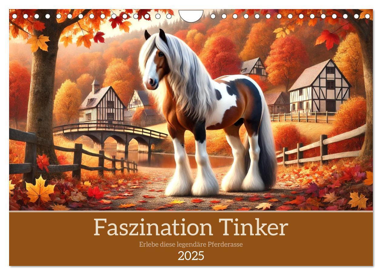 Cover: 9783457206232 | Faszination Tinker (Wandkalender 2025 DIN A4 quer), CALVENDO...