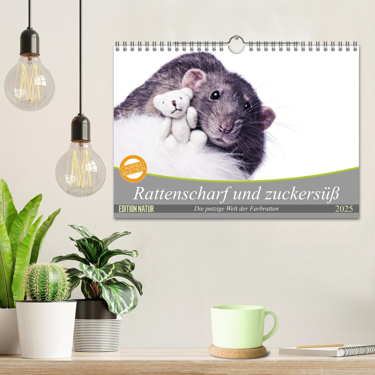 Bild: 9783435420940 | Rattenscharf und zuckersüß (Wandkalender 2025 DIN A4 quer),...