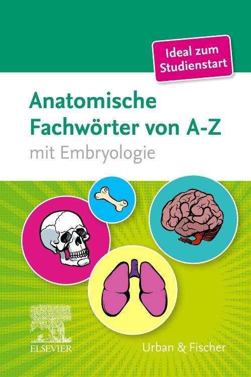 Cover: 9783437431968 | Anatomische Fachwörter von A-Z | mit Embryologie | Elsevier Gmbh