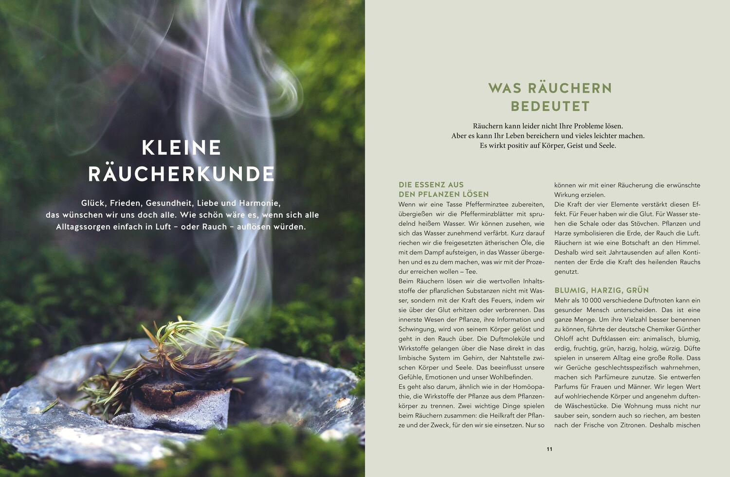 Bild: 9783833881961 | Räuchermomente im Jahreskreis | Adolfine Nitschke | Buch | 128 S.