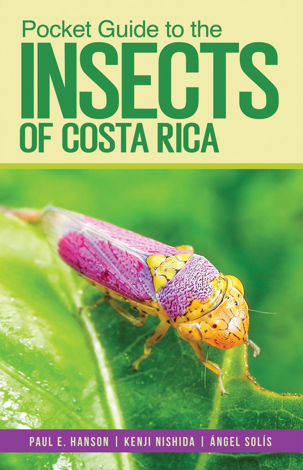 Cover: 9781501760976 | Pocket Guide to the Insects of Costa Rica | Paul Hanson (u. a.) | Buch