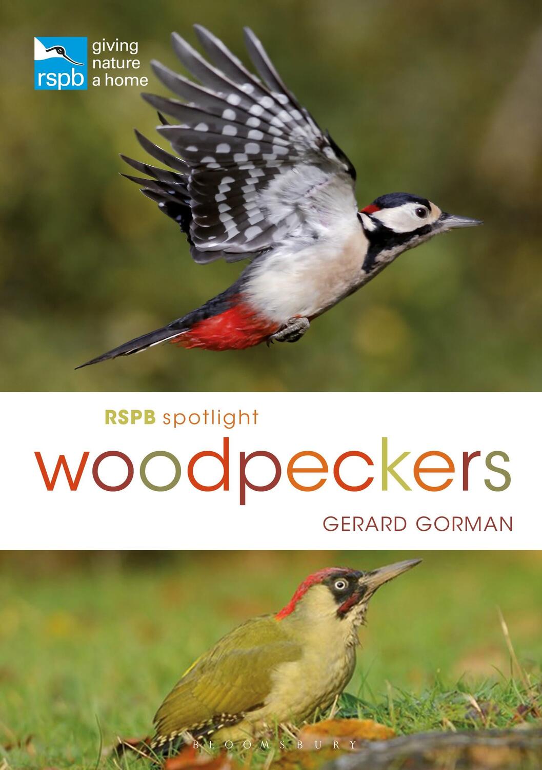 Cover: 9781472951182 | RSPB Spotlight Woodpeckers | Gerard Gorman | Taschenbuch | RSPB | 2018