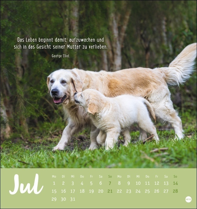Bild: 9783756403677 | Mama! Postkartenkalender 2024. Entzückende Tier-Mütter und ihre...