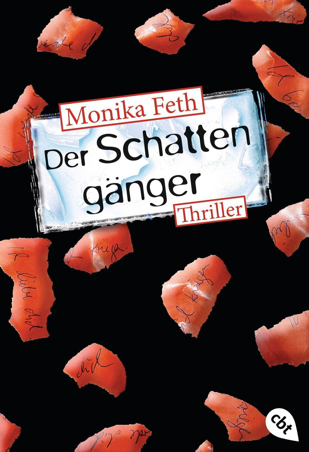 Cover: 9783570303931 | Der Schattengänger | Monika Feth | Taschenbuch | cbt Taschenbücher