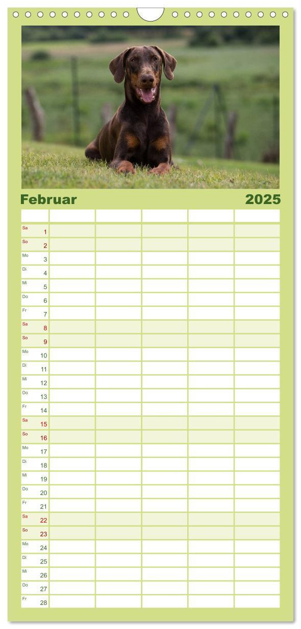 Bild: 9783457112137 | Familienplaner 2025 - Dobermann mit 5 Spalten (Wandkalender, 21 x...