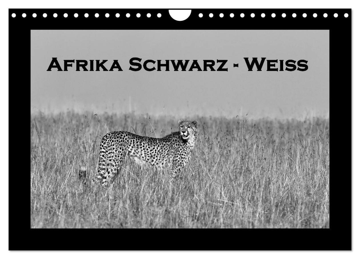 Cover: 9783383557224 | Afrika Schwarz - Weiss (Wandkalender 2024 DIN A4 quer), CALVENDO...