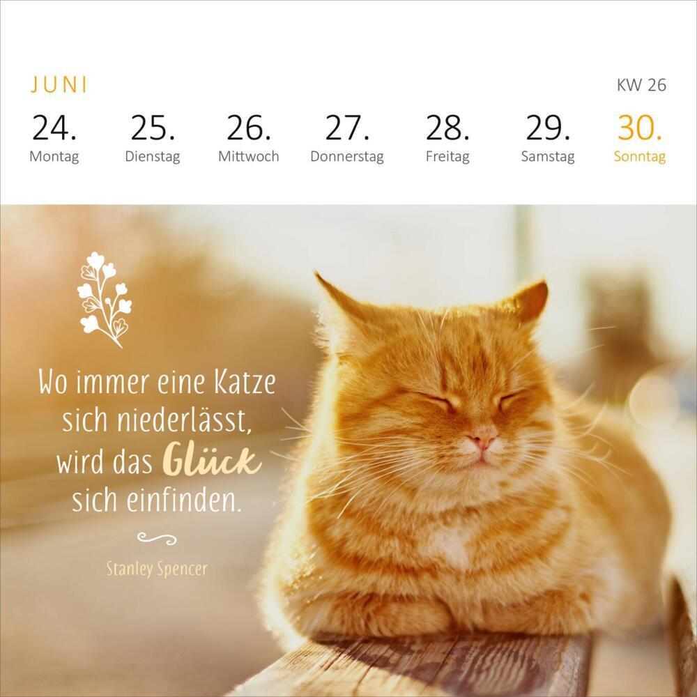 Bild: 4014489130345 | Mini-Wochenkalender Katzenglück 2024 | Kalender | Spiralaufsteller