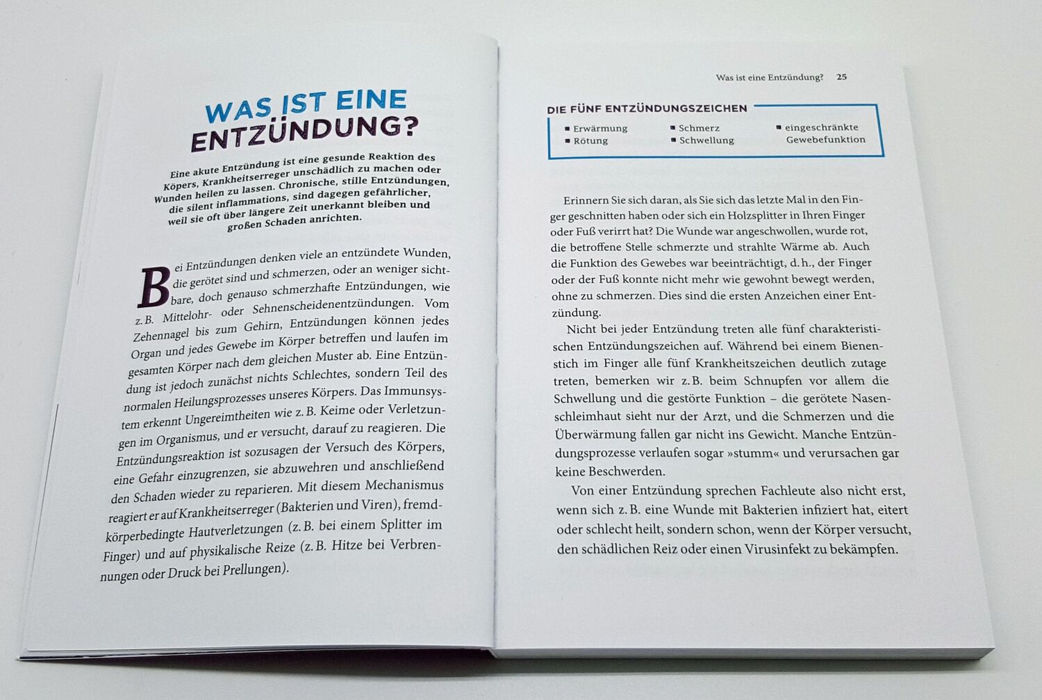 Bild: 9783442178292 | Heimliche Entzündungen | Silvia Bürkle | Taschenbuch | 240 S. | 2019