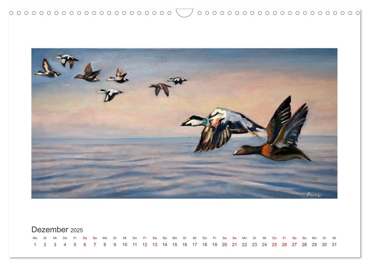 Bild: 9783383841170 | Auf leichten Schwingen - Zugvögel (Wandkalender 2025 DIN A3 quer),...