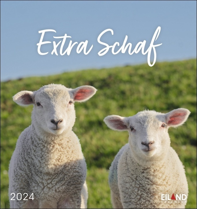 Cover: 9783964022745 | Extra Schaf Postkartenkalender 2024. Ein kleiner Kalender zum...