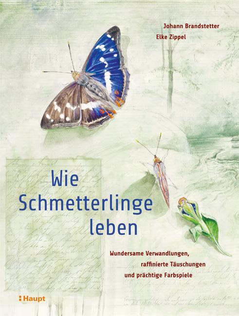 Cover: 9783258081434 | Wie Schmetterlinge leben | Johann Brandstetter (u. a.) | Buch | 2019
