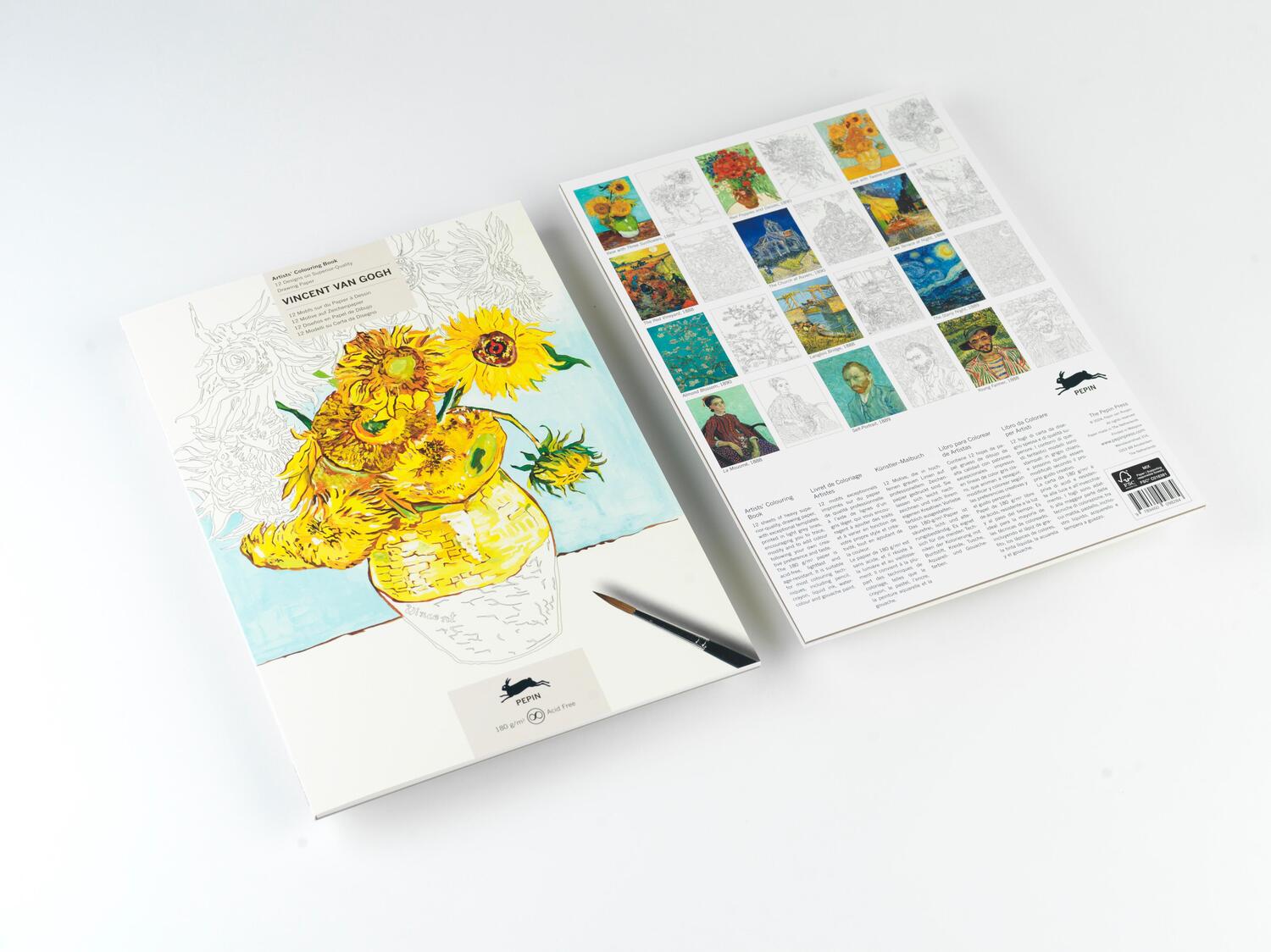 Cover: 9789460098284 | Vincent van Gogh | Artists' Colouring Book | Pepin Van Roojen | Buch