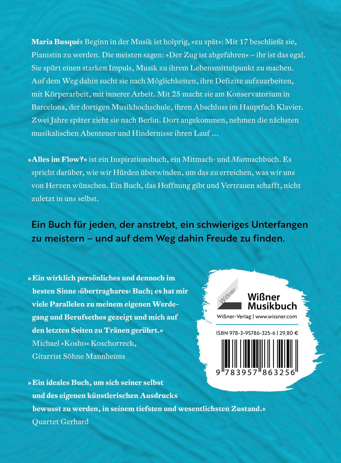 Rückseite: 9783957863256 | Alles im Flow? | Die Kunst, ein musikalisches Leben zu führen | Busqué