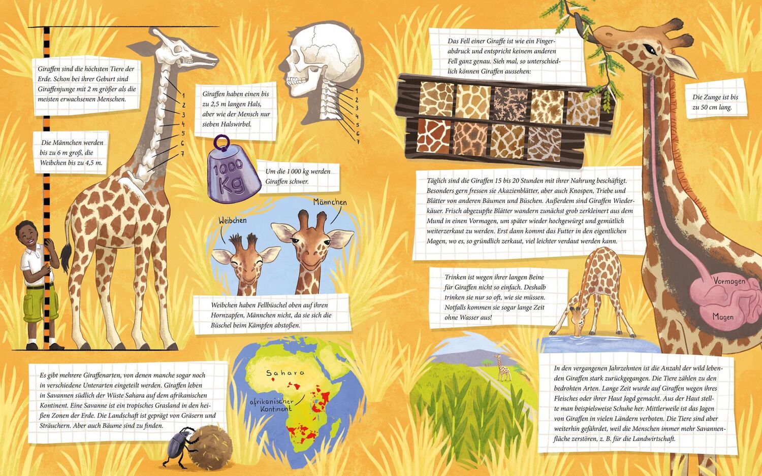 Bild: 9783734860201 | Die kleine Giraffe - Zu Hause in der Savanne | Scharmacher-Schreiber