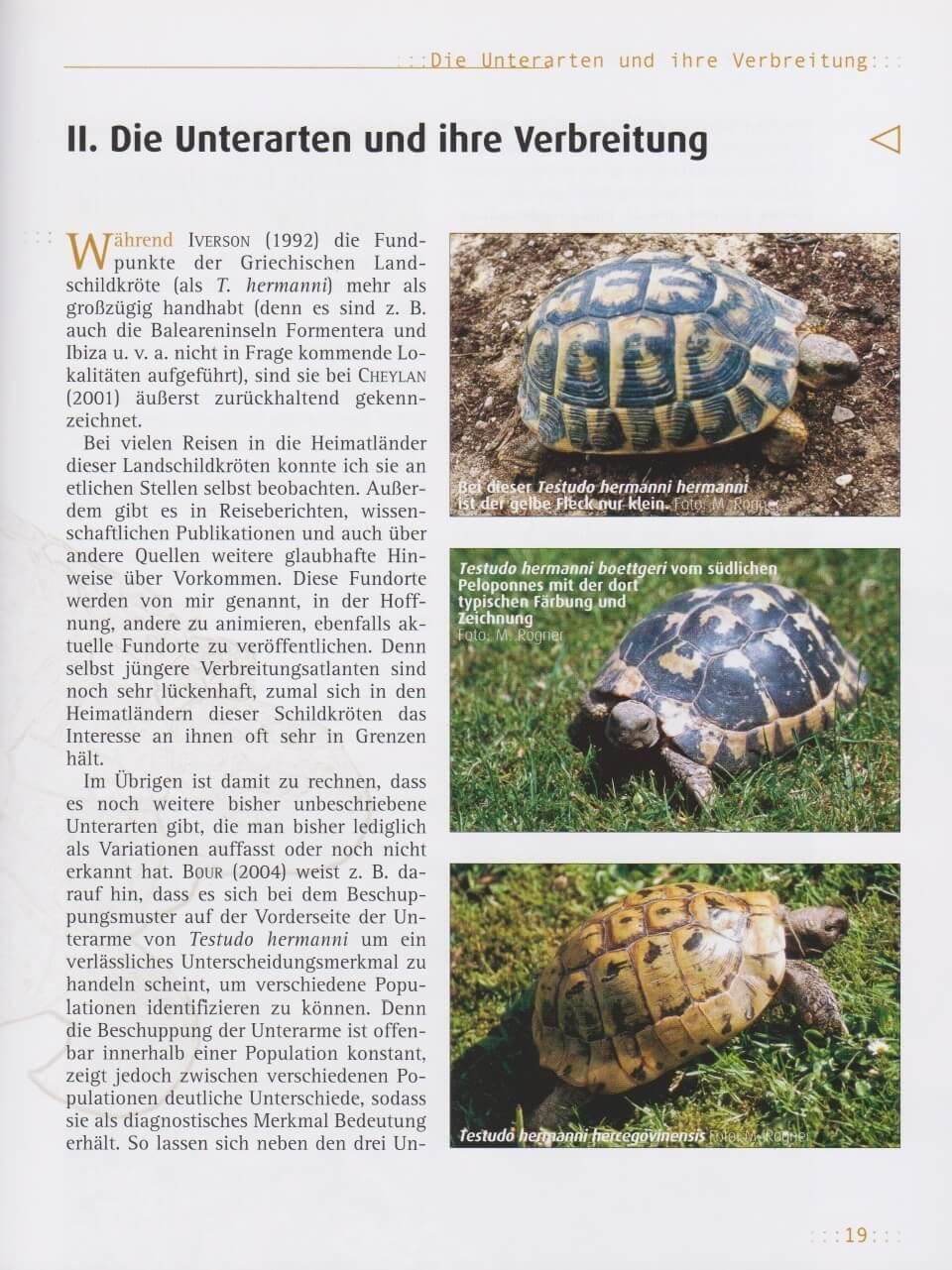 Bild: 9783937285443 | Griechische Landschildkröten | Manfred Rogner | Taschenbuch | 168 S.