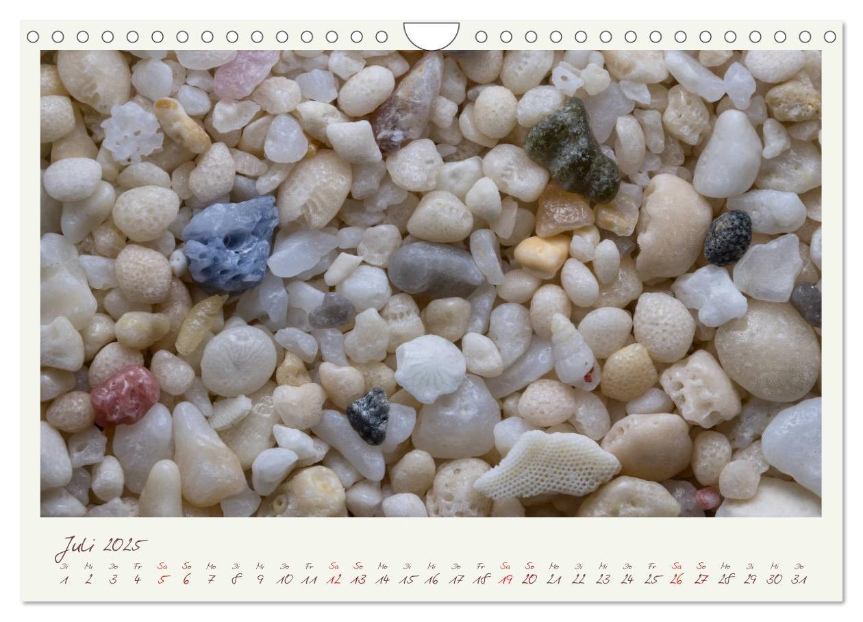 Bild: 9783435135479 | Abenteuer Mikrofotografie Sand (Wandkalender 2025 DIN A4 quer),...