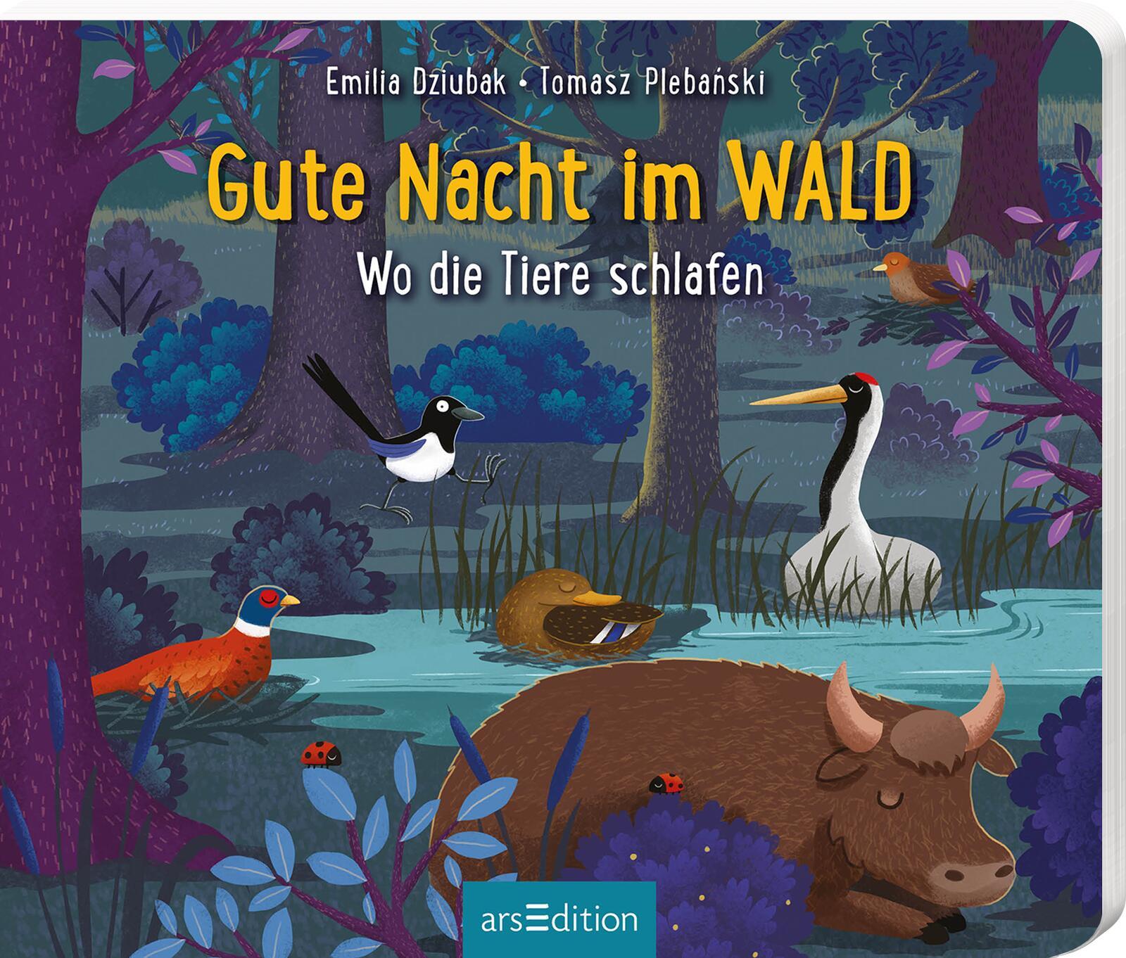 Cover: 9783845866062 | Gute Nacht im Wald | Wo die Tiere schlafen | Emilia Dziubak | Buch