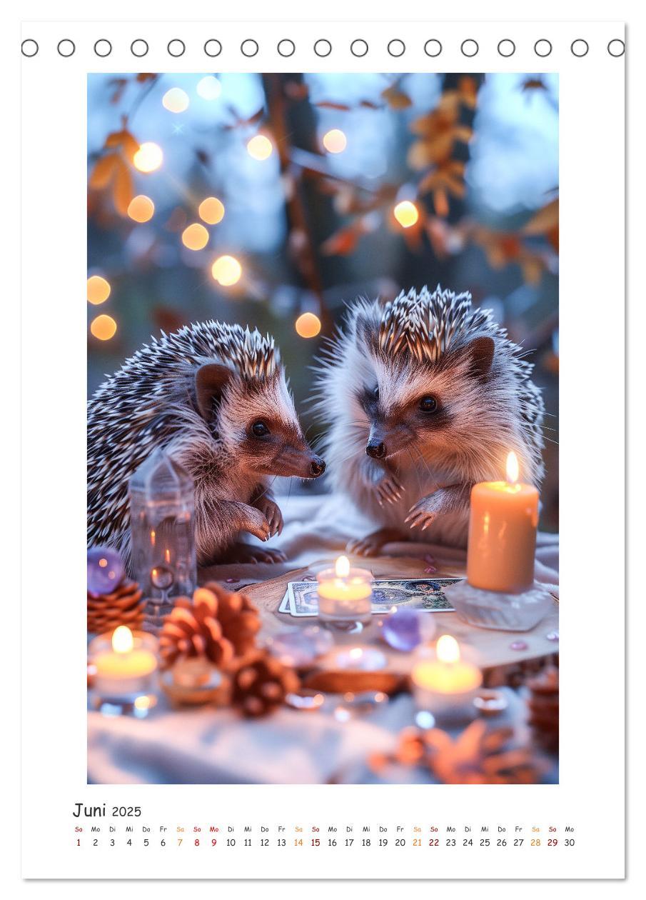 Bild: 9783435242719 | Lustige kleine Igel (Tischkalender 2025 DIN A5 hoch), CALVENDO...