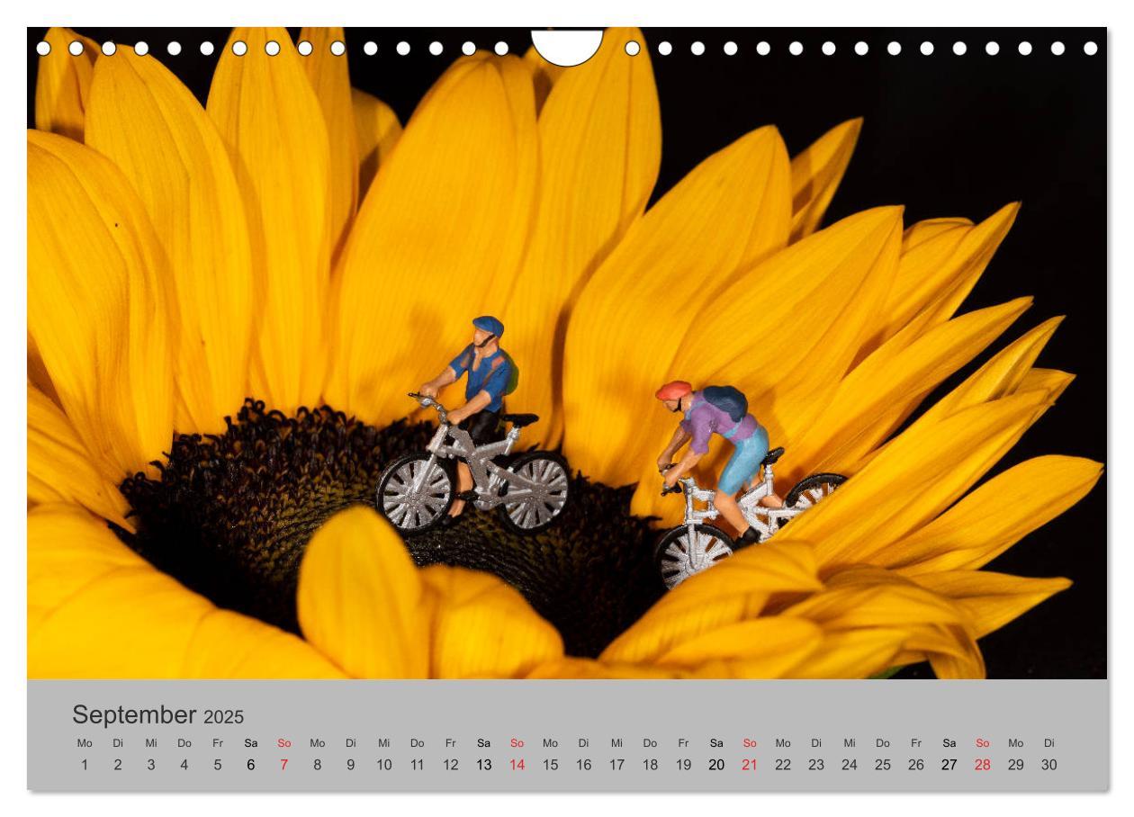 Bild: 9783435149872 | Miniaturen - Das Leben der Minis (Wandkalender 2025 DIN A4 quer),...