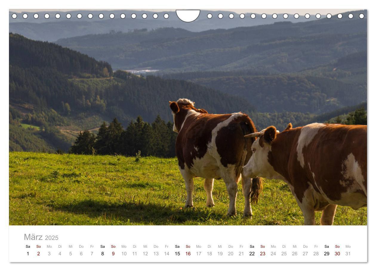 Bild: 9783435398010 | Schönes Sauerland (Wandkalender 2025 DIN A4 quer), CALVENDO...