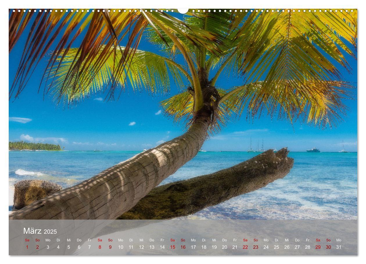 Bild: 9783435022137 | Karibik Traum Isla Saona (Wandkalender 2025 DIN A2 quer), CALVENDO...