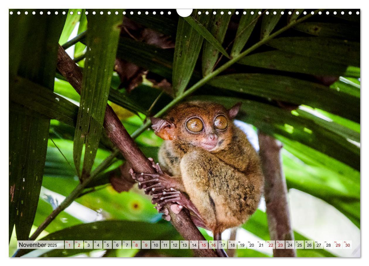 Bild: 9783383949517 | Philippinen - Land der Naturwunder (Wandkalender 2025 DIN A3 quer),...