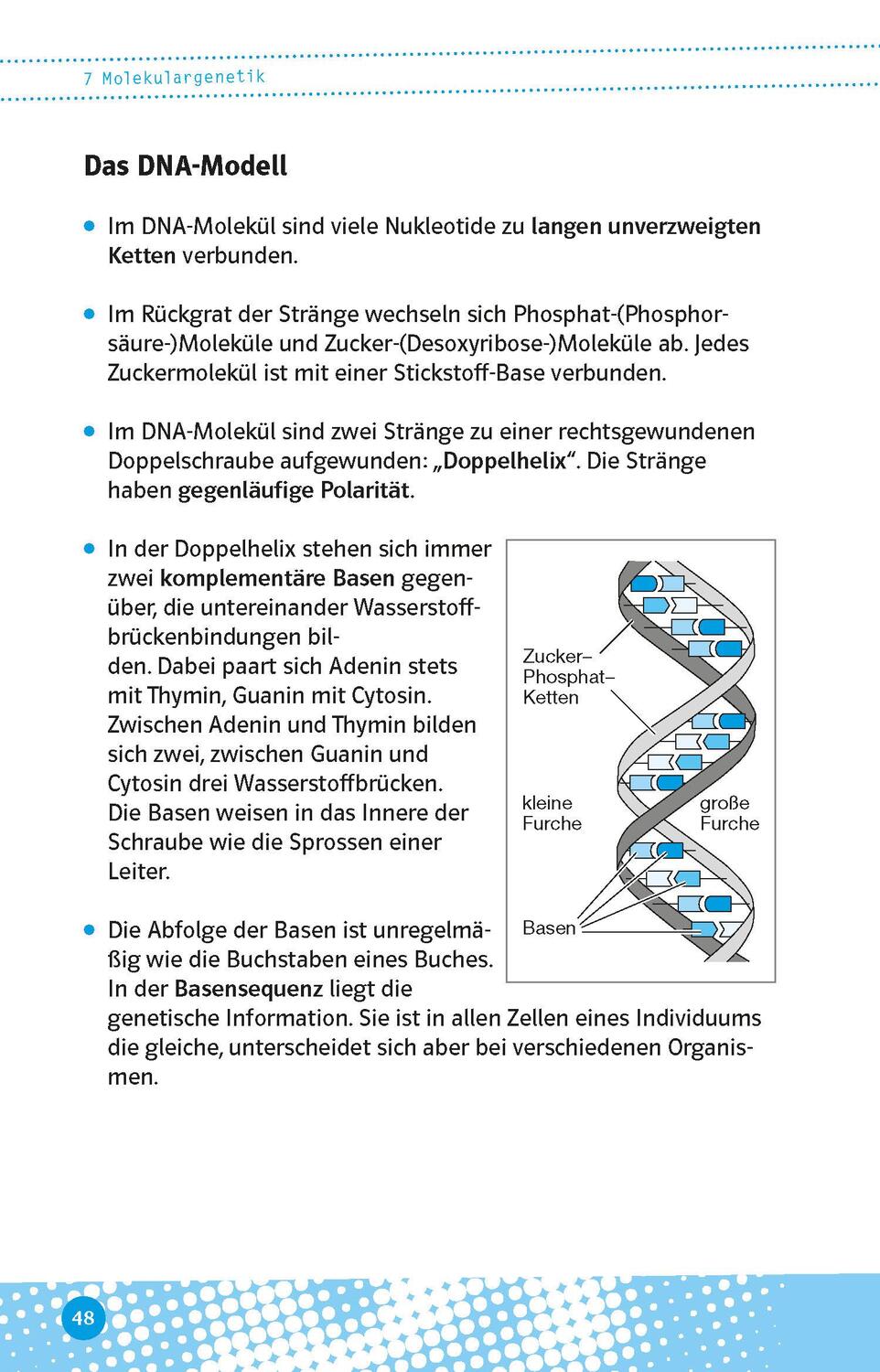 Bild: 9783129497104 | Abi last minute Biologie | Taschenbuch | Deutsch | 2022