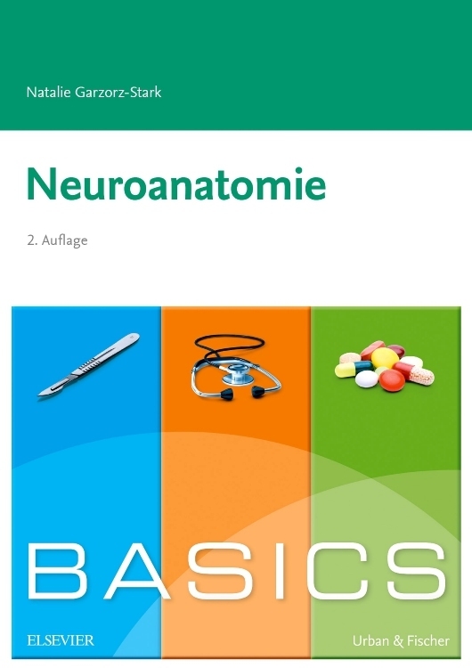 Cover: 9783437424588 | Basics Neuroanatomie | Natalie Garzorz-Stark | Taschenbuch | Deutsch