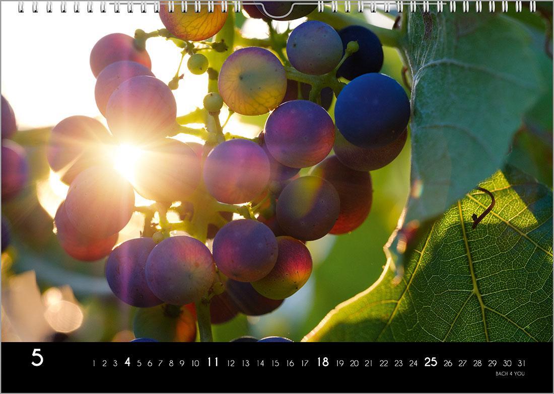 Bild: 9783969030981 | Der Weinkalender 2025, DIN A4 - ein Fotokalender | Peter Bach Jr.