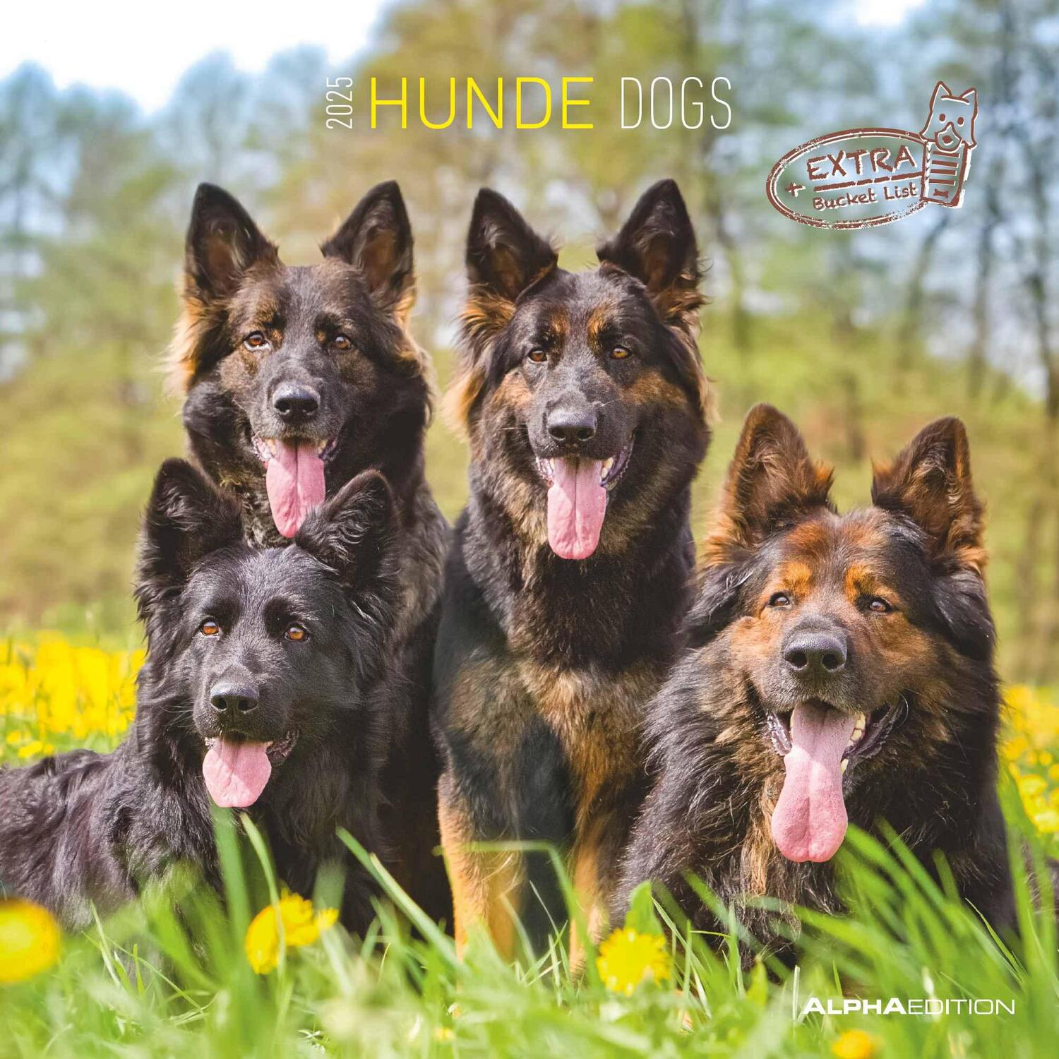 Cover: 4251732340650 | Hunde 2025 - Broschürenkalender 30x30 cm (30x60 geöffnet) -...