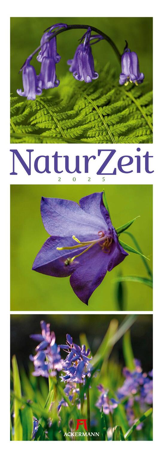 Cover: 9783838435091 | NaturZeit Triplet-Kalender 2025 | Ackermann Kunstverlag | Kalender