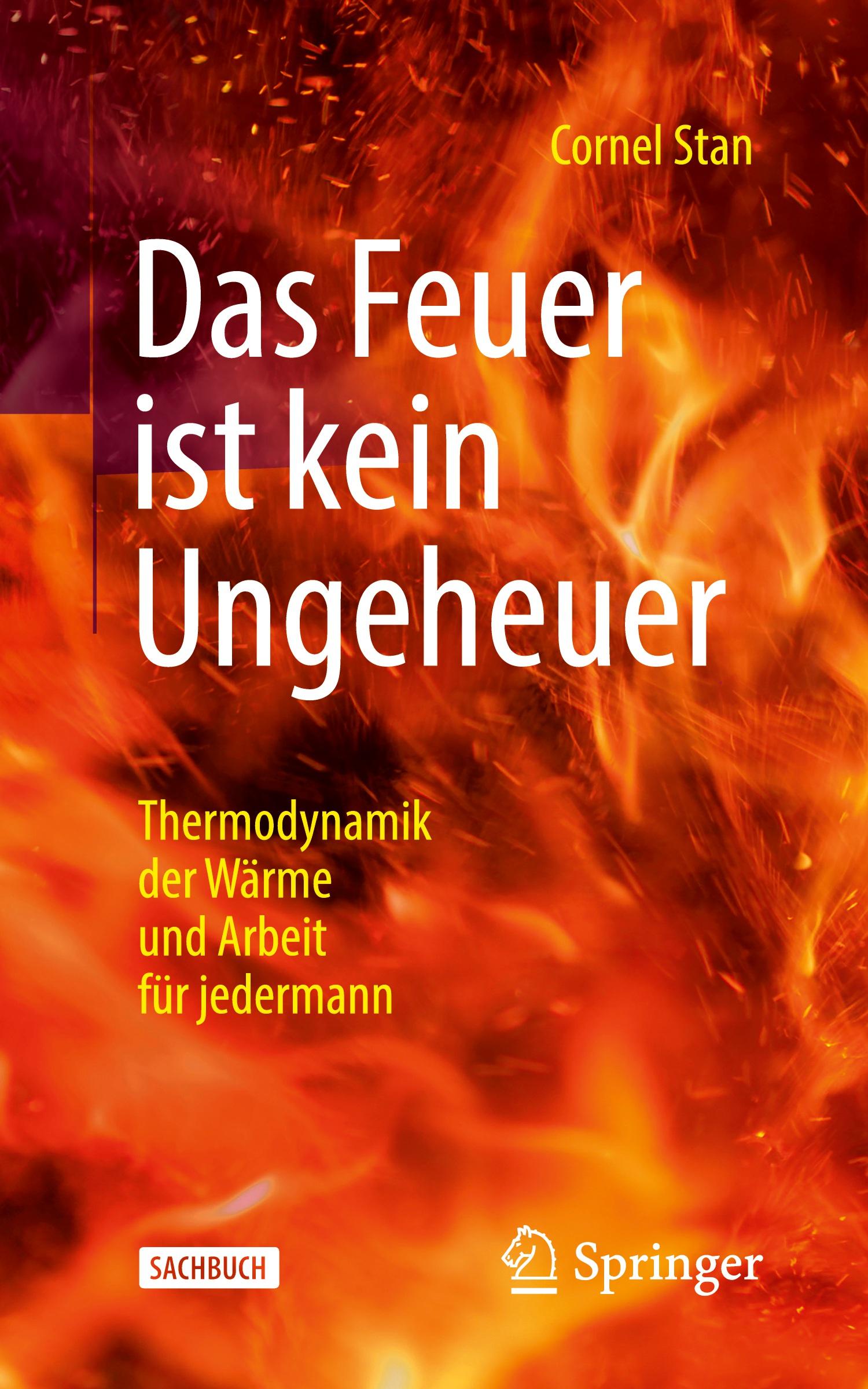 Cover: 9783662649862 | Das Feuer ist kein Ungeheuer | Cornel Stan | Taschenbuch | Paperback