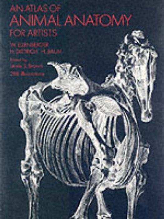 Cover: 9780486200828 | An Atlas of Animal Anatomy for Artists | W. Ellenberger (u. a.) | Buch