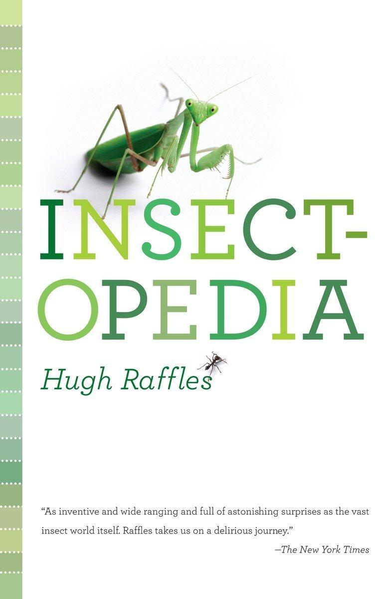 Cover: 9781400096961 | Insectopedia | Hugh Raffles | Taschenbuch | Englisch | 2011
