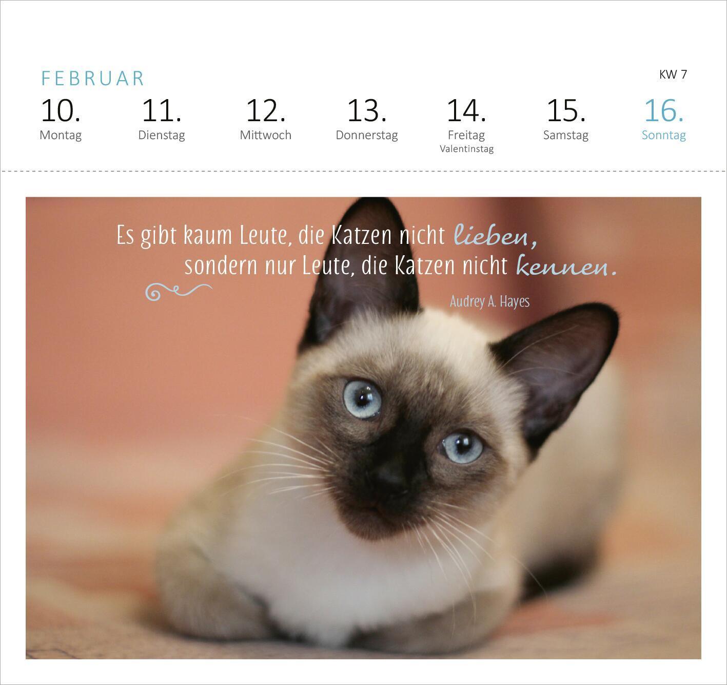 Bild: 4014489132721 | Postkartenkalender Katzenweisheiten 2025 | Kalender | Spiralaufsteller