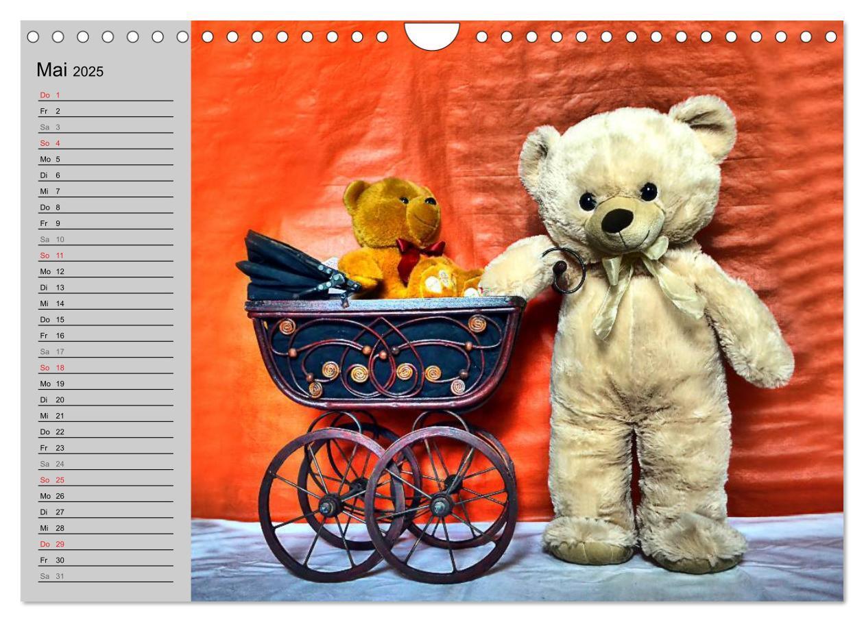 Bild: 9783435496068 | TEDDYBÄR, OH TEDDYBÄR... (Wandkalender 2025 DIN A4 quer), CALVENDO...