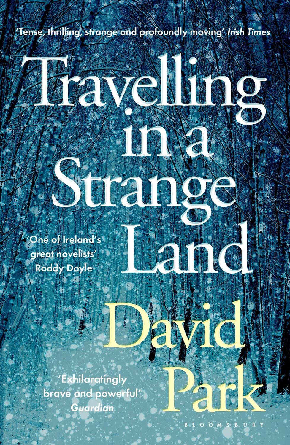 Cover: 9781408892756 | Travelling in a Strange Land | David Park | Taschenbuch | 176 S.