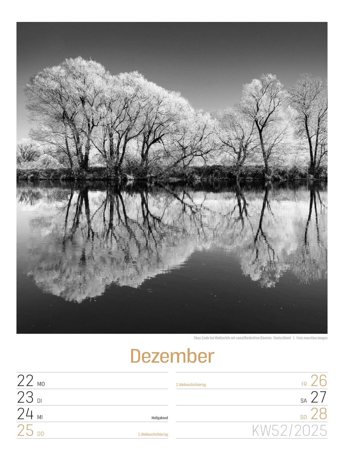 Bild: 9783838435268 | Silent Nature - Schwarz-Weiß-Wochenplaner Kalender 2025 | Kunstverlag