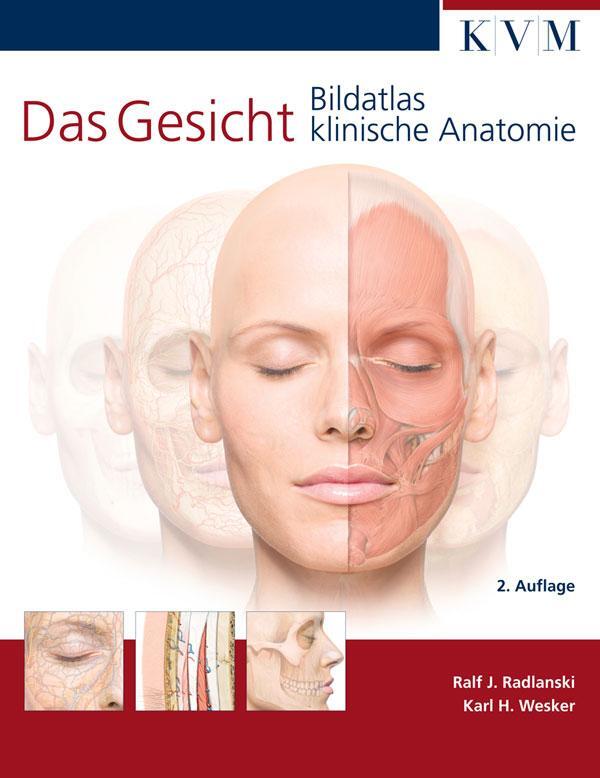 Cover: 9783940698919 | Das Gesicht | Bildatlas klinische Anatomie | Ralf J. Radlanski | Buch
