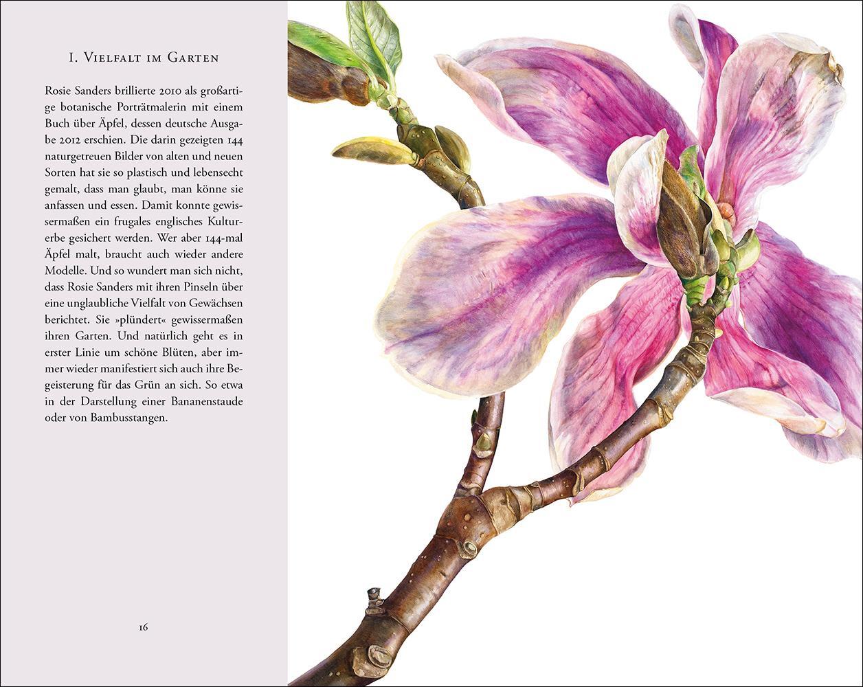 Bild: 9783458200536 | Überwältigende Blüten | Rosie Sanders | Buch | Insel-Bücherei | 107 S.