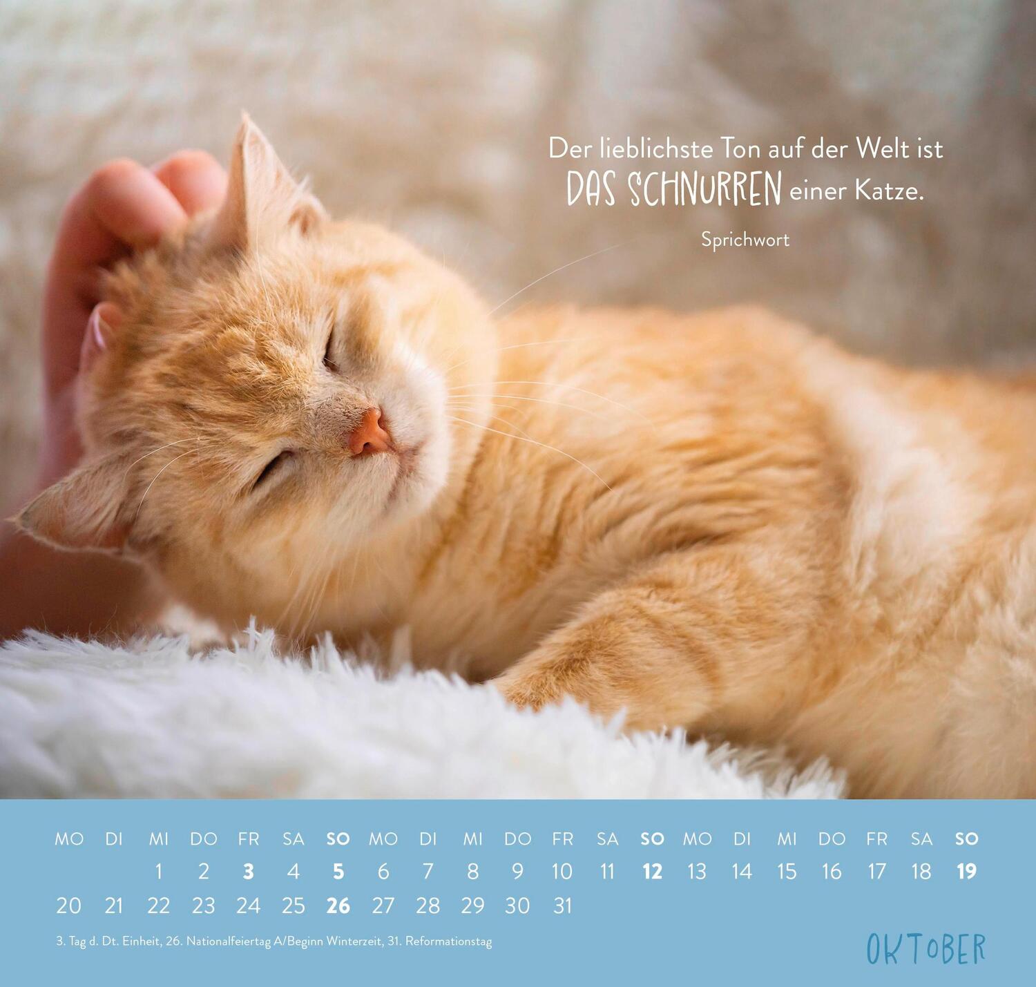 Bild: 4036442011881 | Wandkalender 2025: Für Katzenfreunde | Groh Verlag | Kalender | 12 S.