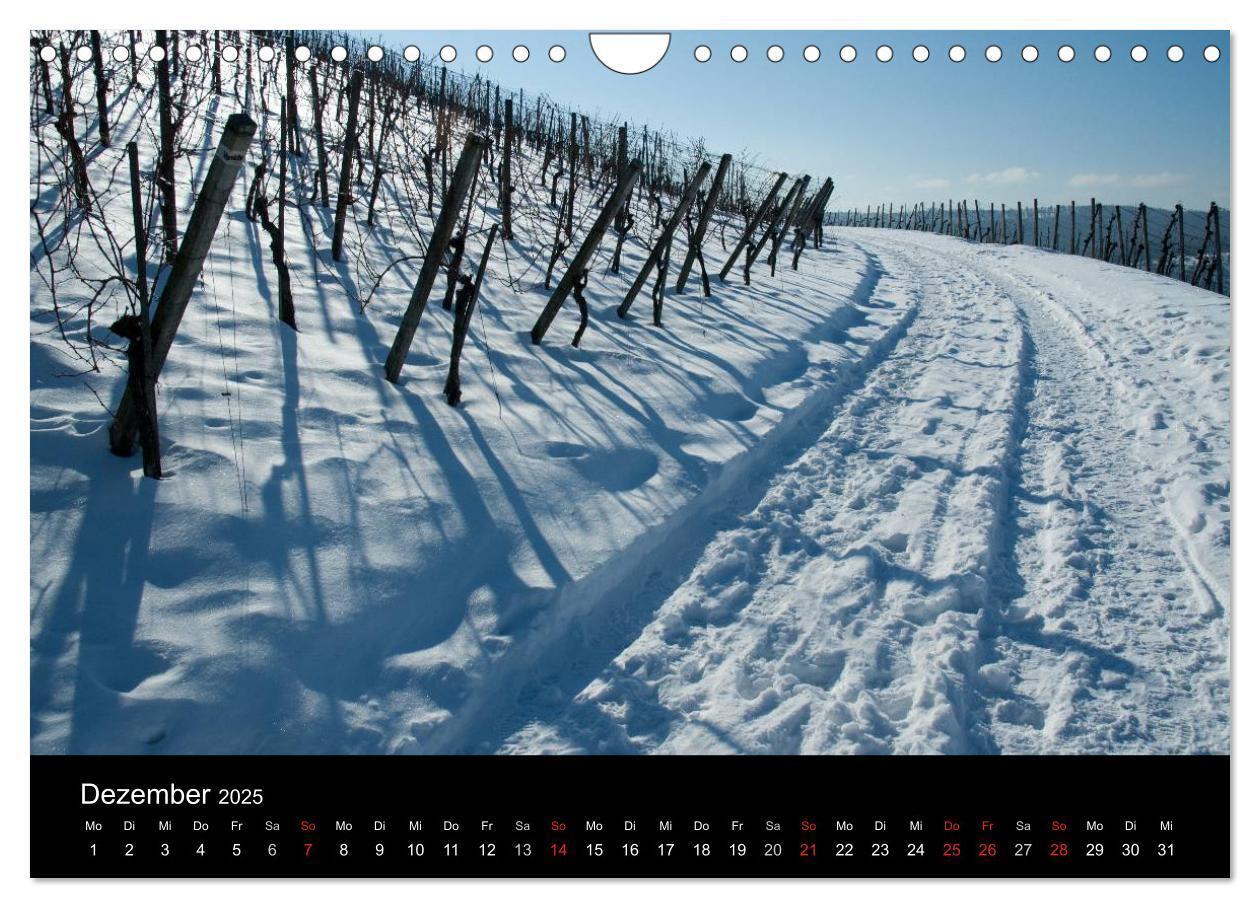 Bild: 9783435718948 | Weinberge im Remstal (Wandkalender 2025 DIN A4 quer), CALVENDO...