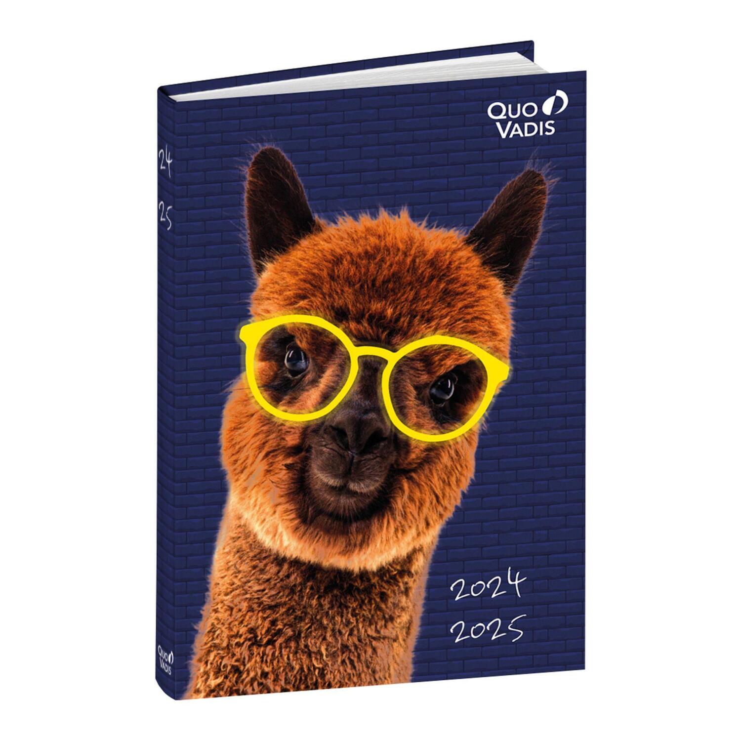 Cover: 3371010519675 | Schülerkalender FORUM DE Tiere Lama 2024/2025 | Schülerkalender | Buch