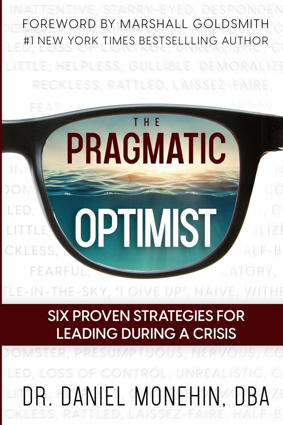 Cover: 9781738652914 | The Pragmatic Optimist | Daniel Monehin | Taschenbuch | Paperback