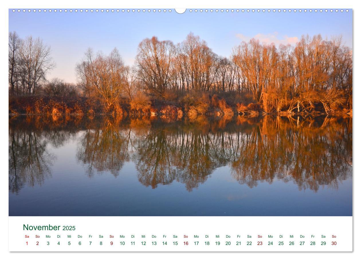 Bild: 9783383994807 | Auwälder bei Enns (Wandkalender 2025 DIN A2 quer), CALVENDO...