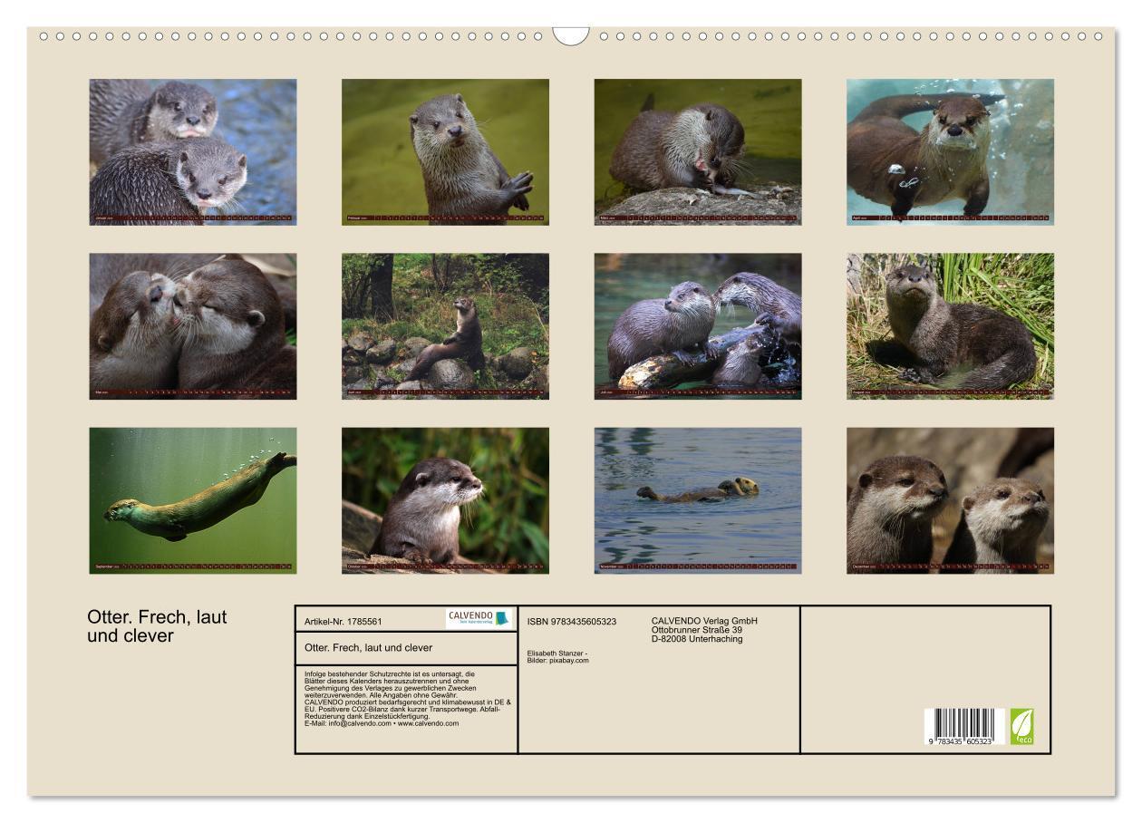 Bild: 9783435605323 | Otter. Frech, laut und clever (Wandkalender 2025 DIN A2 quer),...