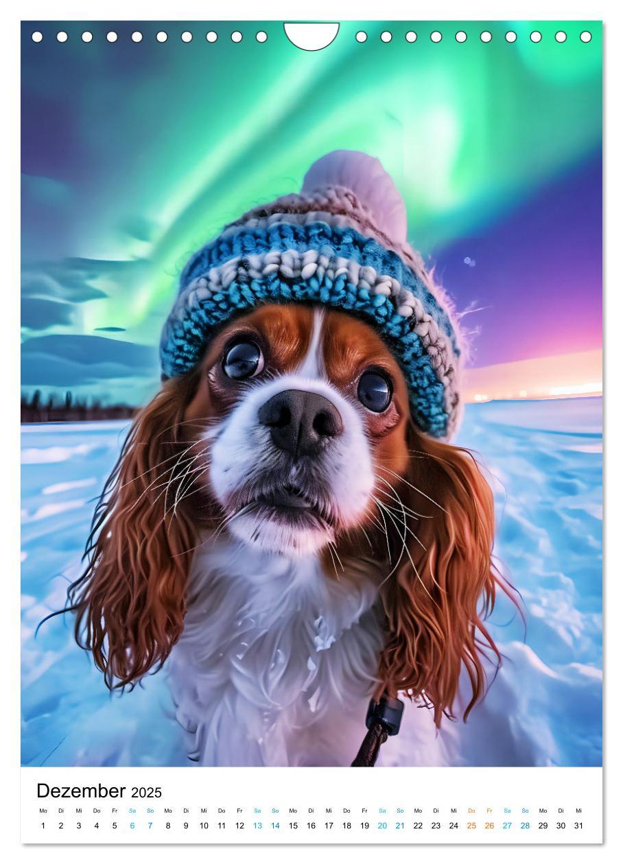 Bild: 9783383763441 | Cavalier King Charles Spaniel - Lustige Weltenreise im Selfie-Modus...