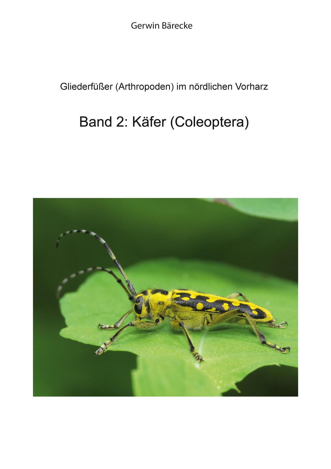 Cover: 9783749467389 | Gliederfüßer (Arthtropoden) in Goslar und Umgebung | Gerwin Bärecke