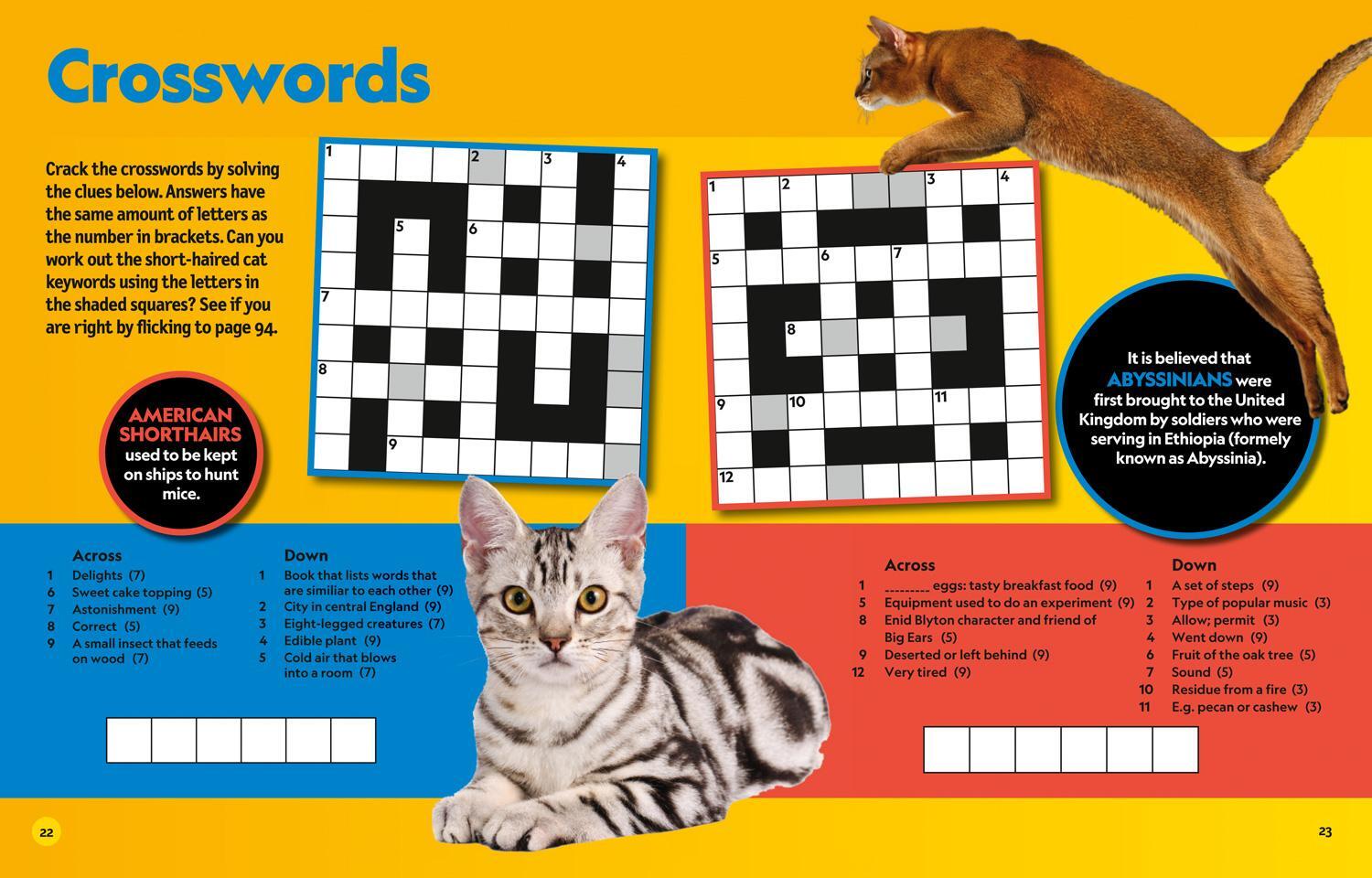 Bild: 9780008430481 | Puzzle Book Cats | National Geographic Kids | Taschenbuch | Englisch